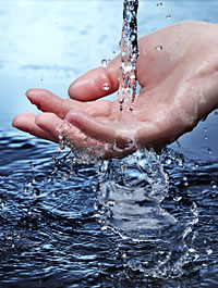 environment7
